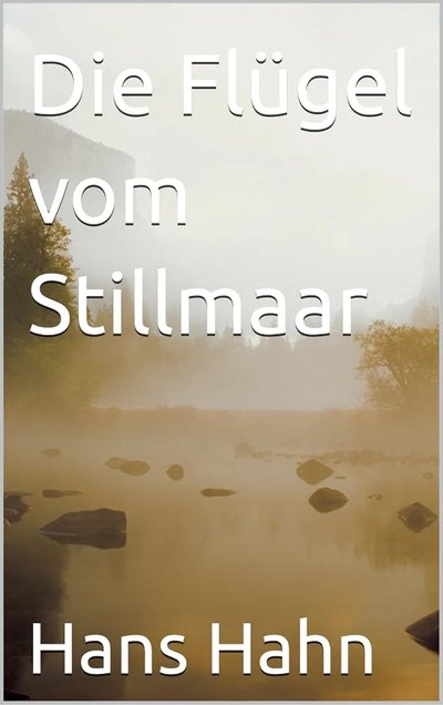 Buchcover Die Flügel vom Stillmaar von Hans J. Hahn