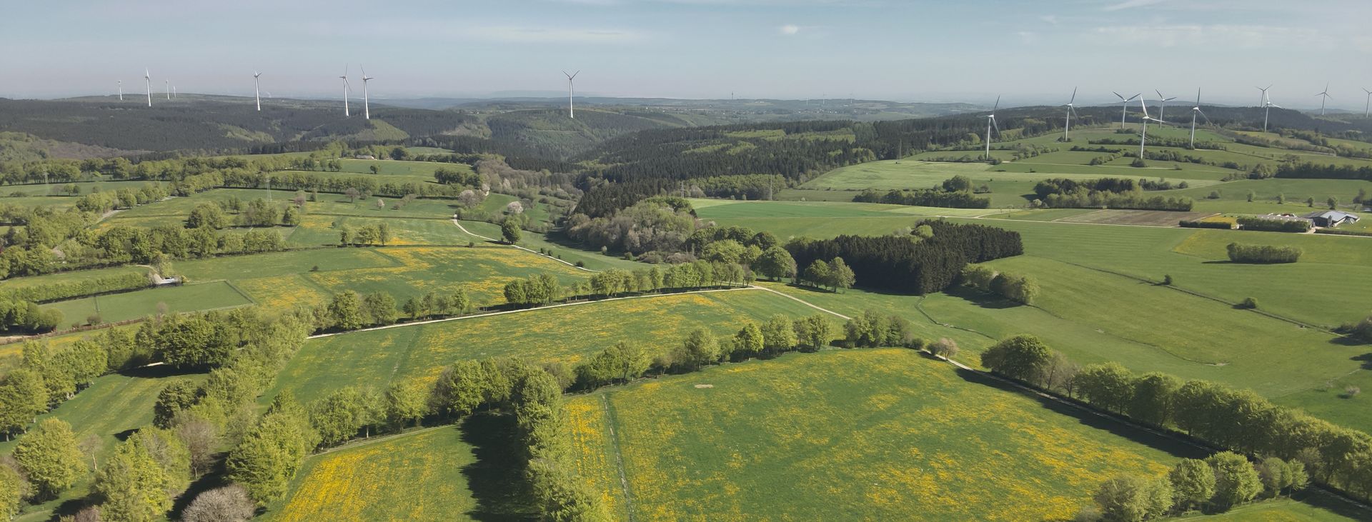 Luftbild der Eifel mit gelben Wiesen, Foto von Hans J. Hahn